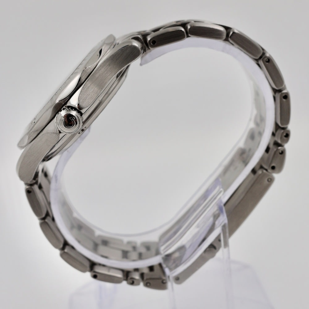 Omega  Seamaster Professional Diver 300m view 2