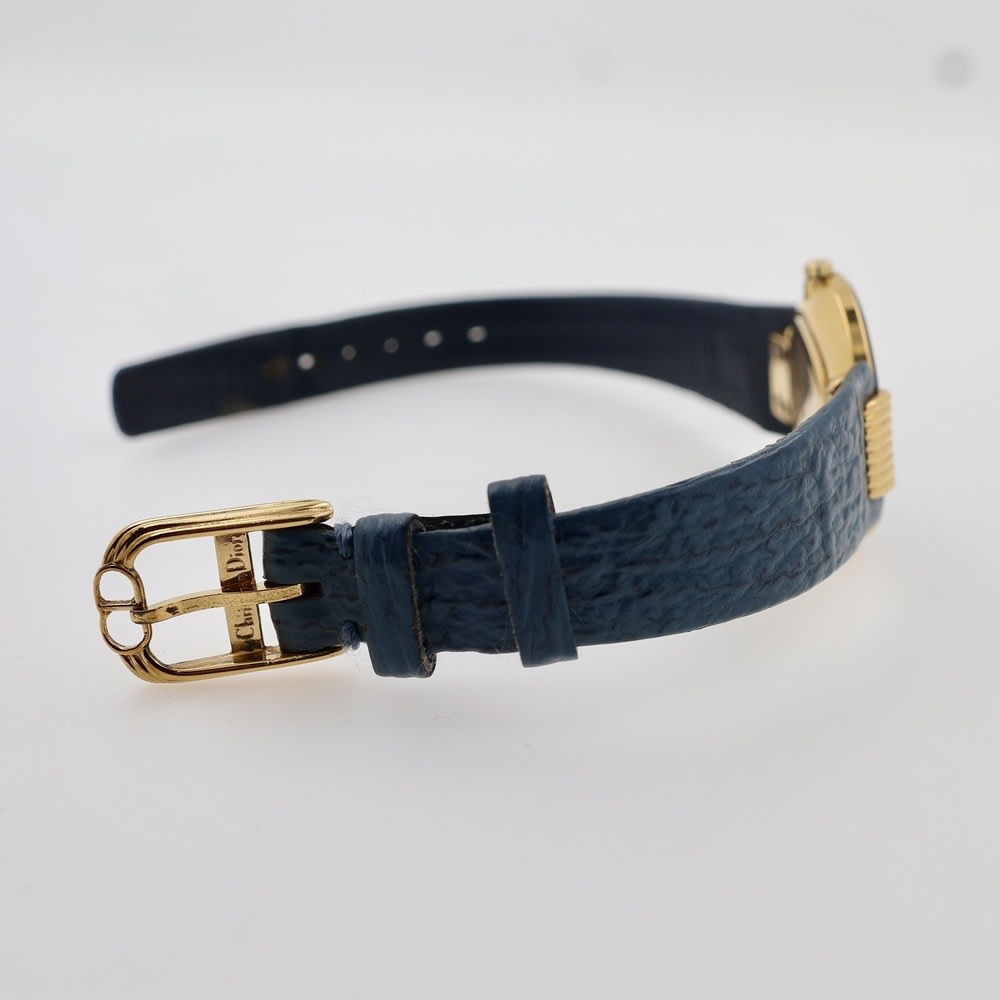 Christian Dior Bagheera Black Moon view 5