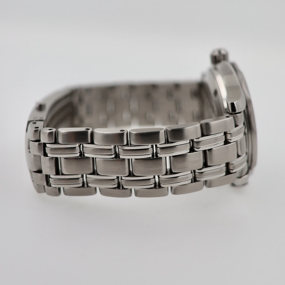 Omega  Seamaster Professional 300m view 6