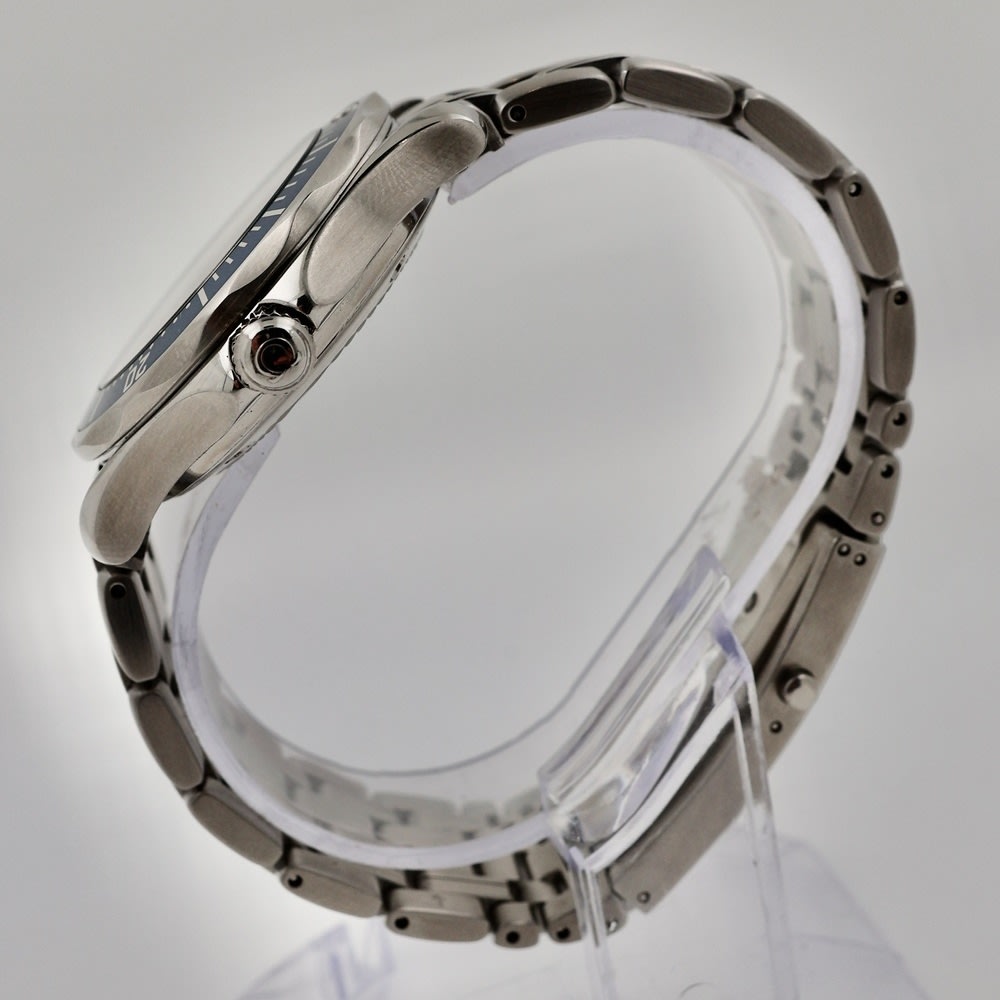 Omega  Seamaster Professional 300m view 2