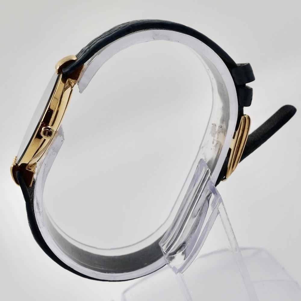 Christian Dior Bagheera Black Moon view 2