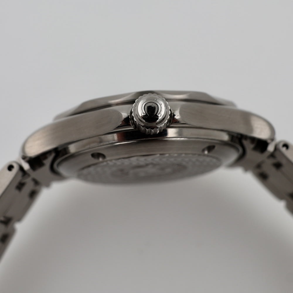 Omega  Seamaster Professional 300m view 5