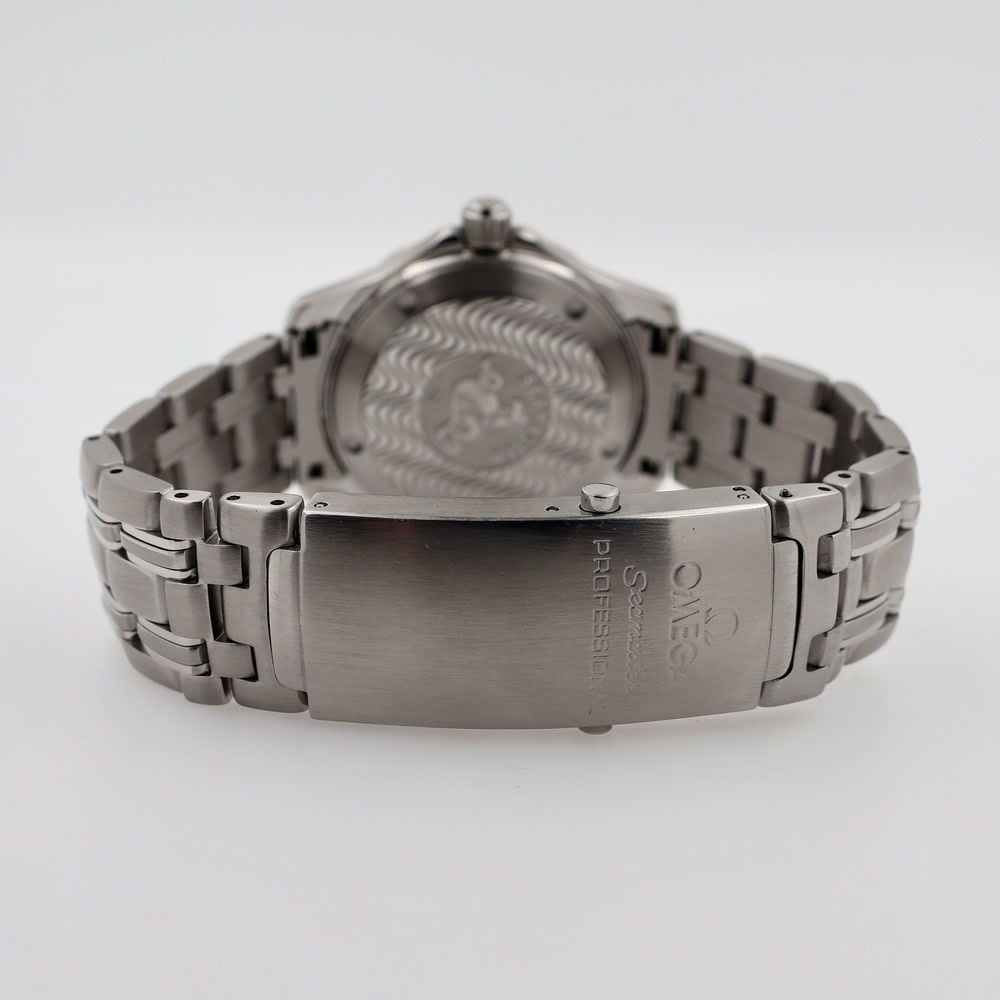 Omega  Seamaster Professional 300m view 7